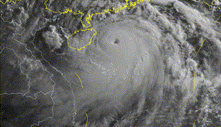 简纳斯·360°风雨卫士系统