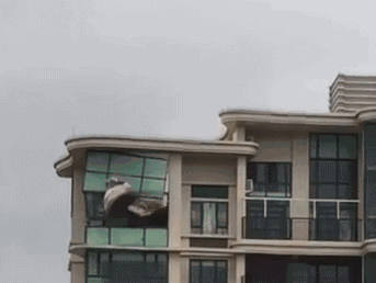 简纳斯·360°风雨卫士系统